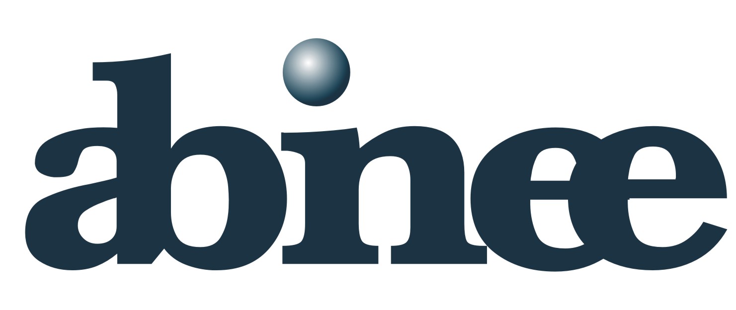 abinee 5395 pingo gradiente